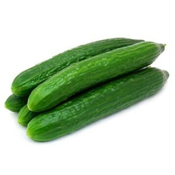 10 Semi Di Cetriolo BIO Perfection Merlin Hybrid Non OGM Alta Resa Globale