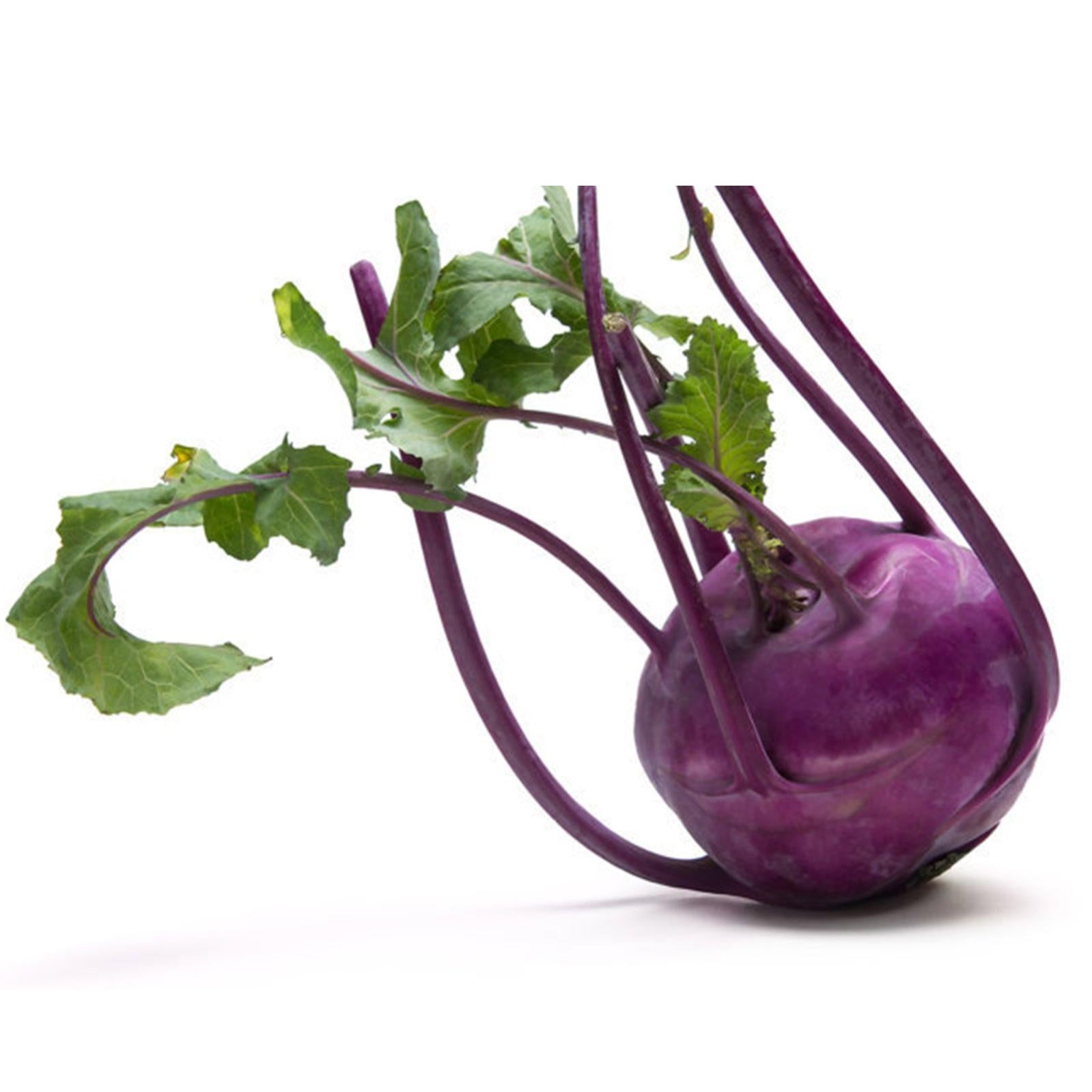 SEED Cavolo Rapa, I Primi BIANCO Vienna, HEIRLOOM, Organico, Non OGM - Foto 4