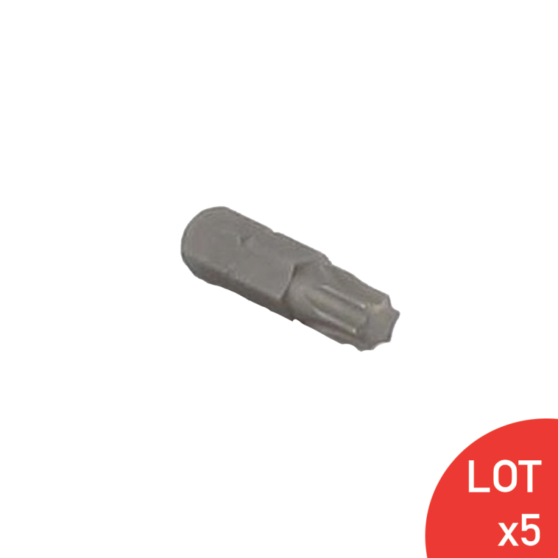 Embout Empreinte Torx Pour Vis Torx Standard Leroy Merlin