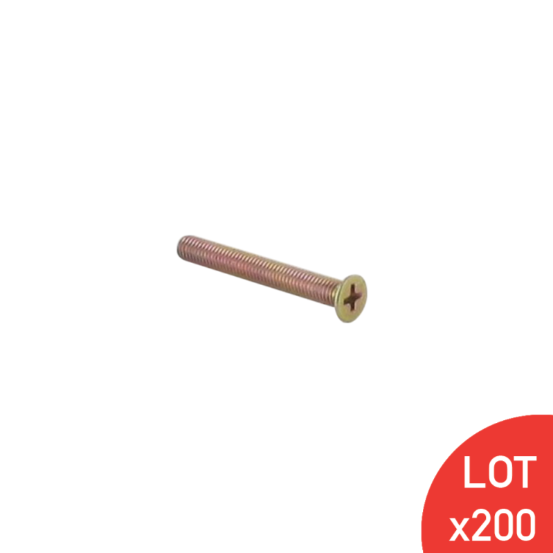 Vis métaux tête fraisée plate pozidrive M5x25mm | Leroy Merlin