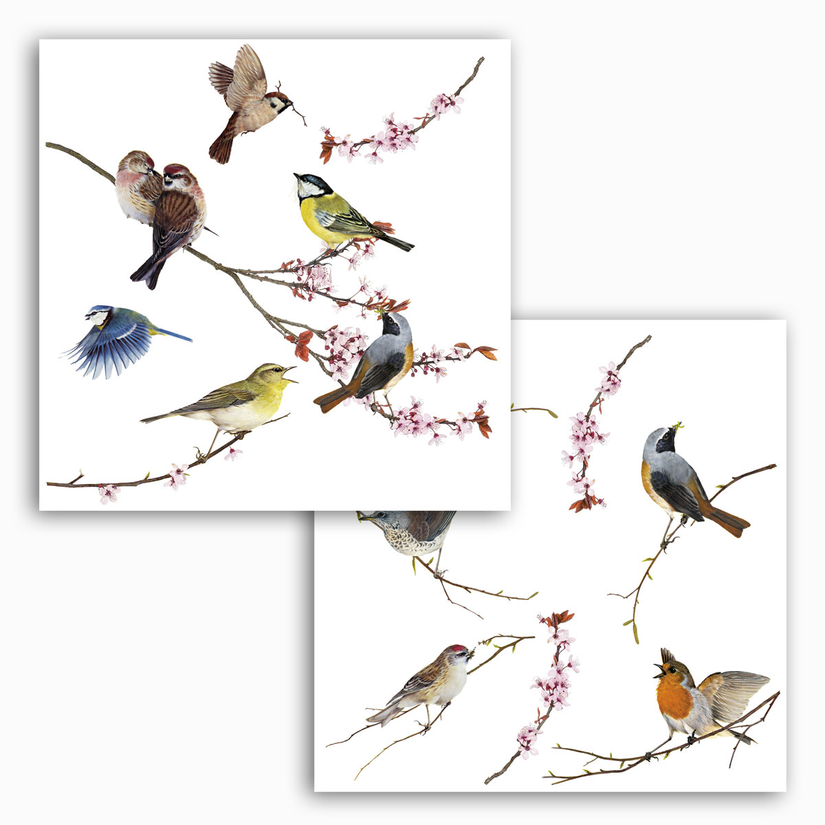 Sticker Mural Oiseaux Colorés Sur Branche 31 X 31 Cm Leroy Merlin