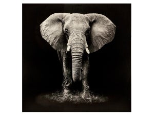 Accroche tableau toile peinturee Poster Éléphant Mère et Enfant Animal  Noir et Blanc Art ative Image avec cadre 40x60cm[3129] - Cdiscount Maison