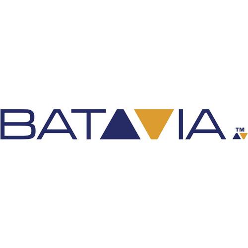 Brosse rotative électrique 1020W - Batavia