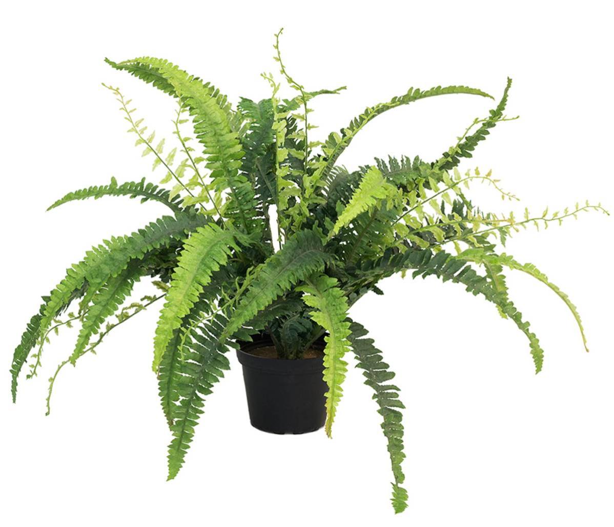 Fougère de Boston artificielle en pot, H 41 cm, D 40 cm Leroy Merlin