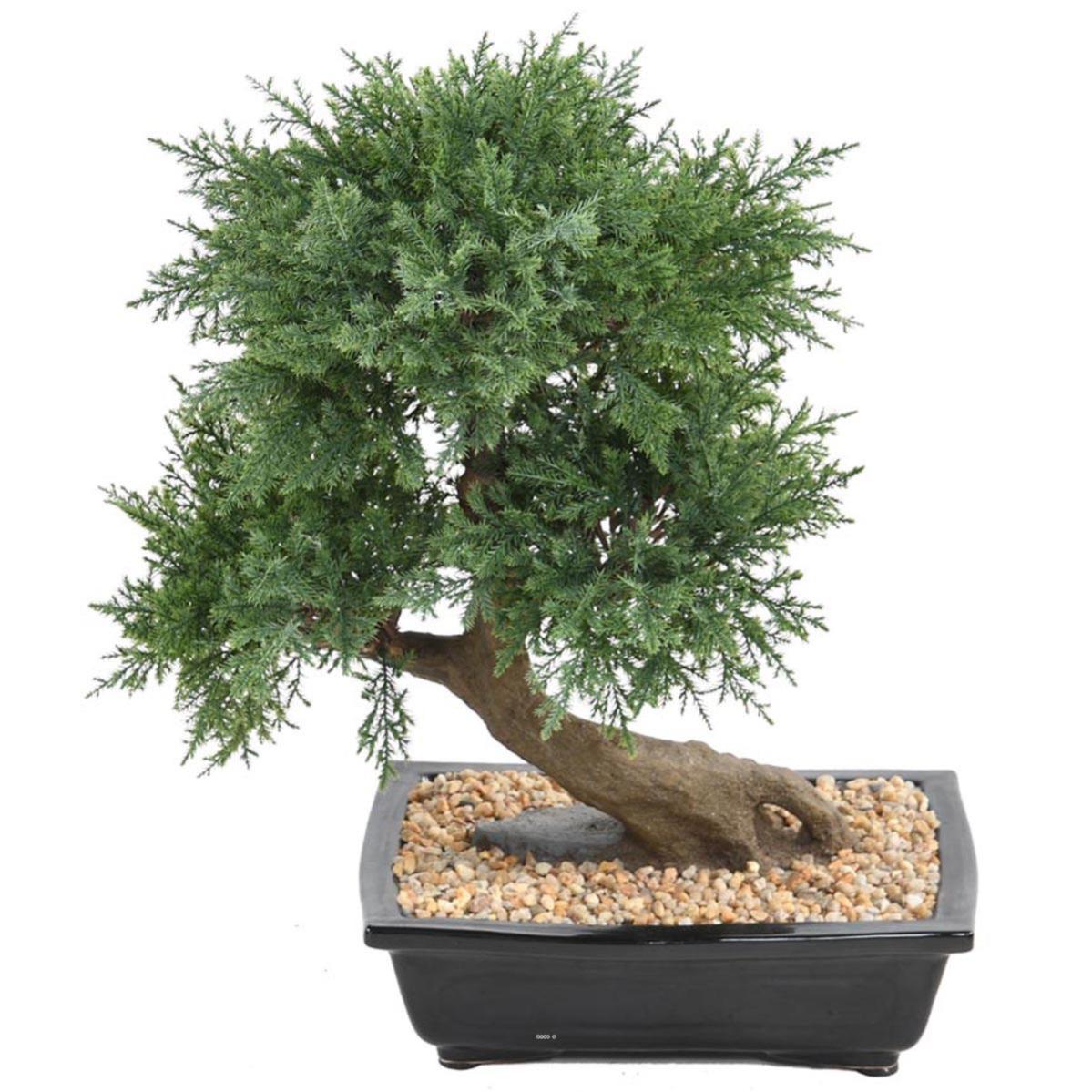 Bonsaï Genévrier Artificiel H 55 cm D 50 cm en pot Leroy Merlin