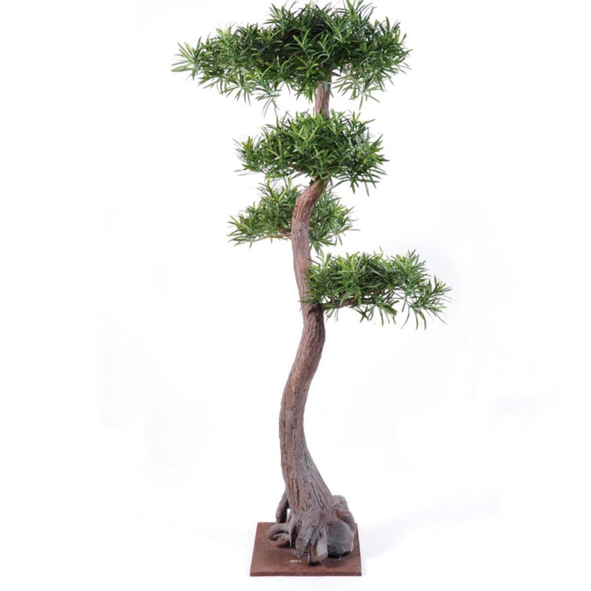 Bonsaï Podocarpus Artificiel H 160 cm D 85 cm sur plaque Leroy Merlin