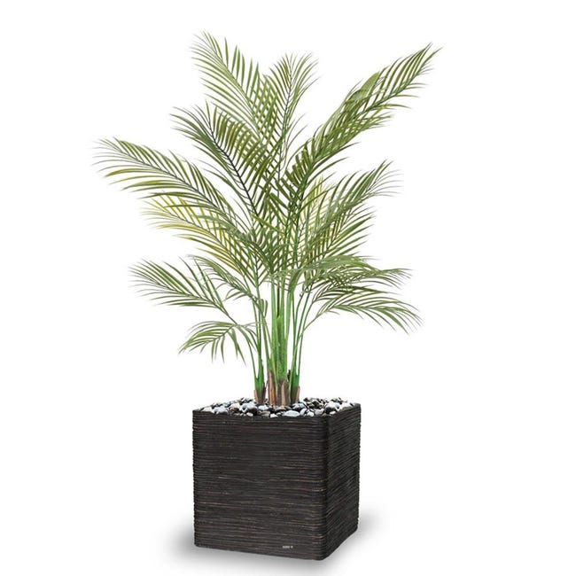 Palmier Areca Artificiel Multi Troncs Feuillage Plastique H 160 Cm Dimhaut H 160 Cm Leroy Merlin Palmier Areca Artificiel Multi Troncs Feuillage Plastique H 160 Cm Dimhaut H 160 Cm Leroy Merlin