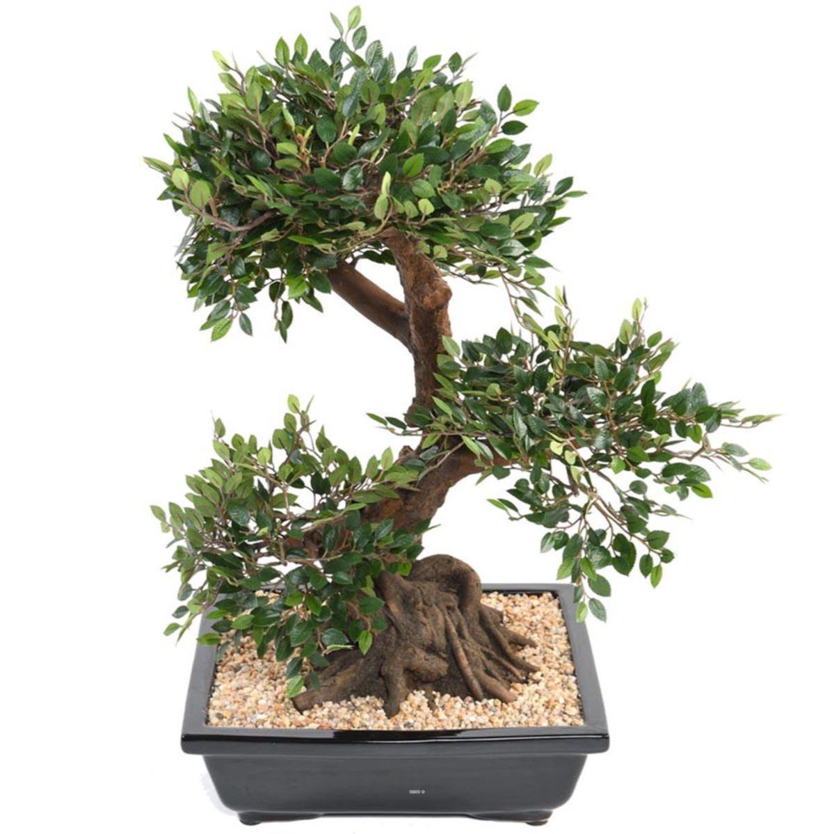 Bonsaï Orme de Chine Artificiel H 70 cm D 55 cm en pot Leroy Merlin