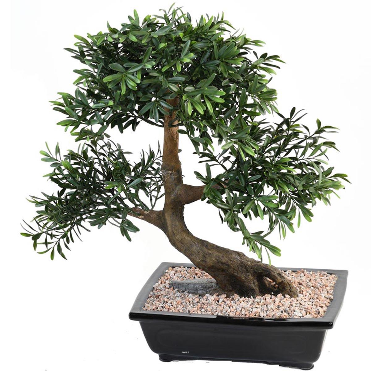 Bonsaï Saule Noir Artificiel H 50 cm D 45 cm en pot Leroy Merlin