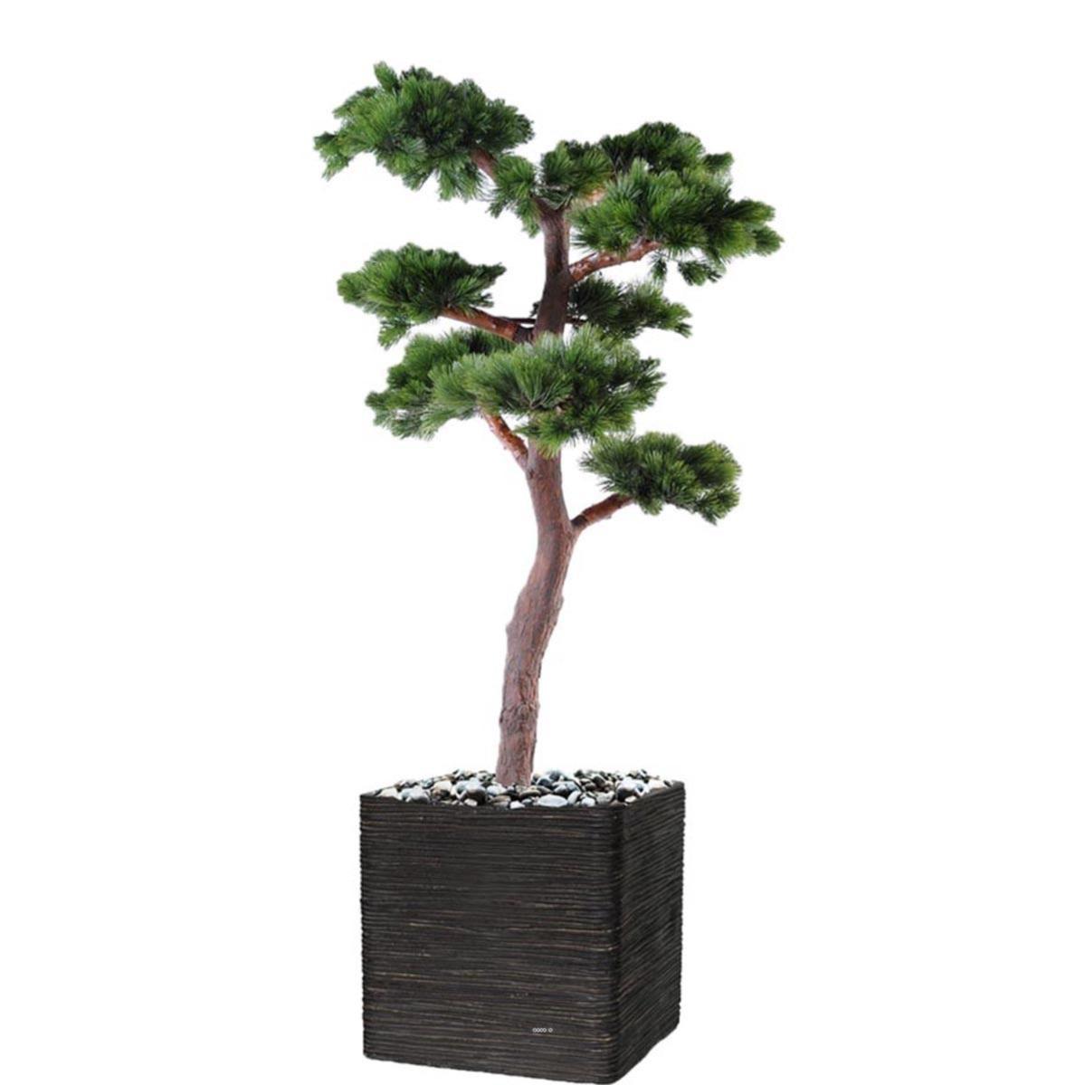 Bonsaï Pin Artificiel H 220 cm D 120 cm en pot AntiUV Leroy Merlin