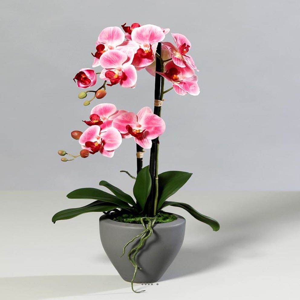 Orchidee factice 2 hampes pot ceramique h57cm touché réel vanille - RETIF