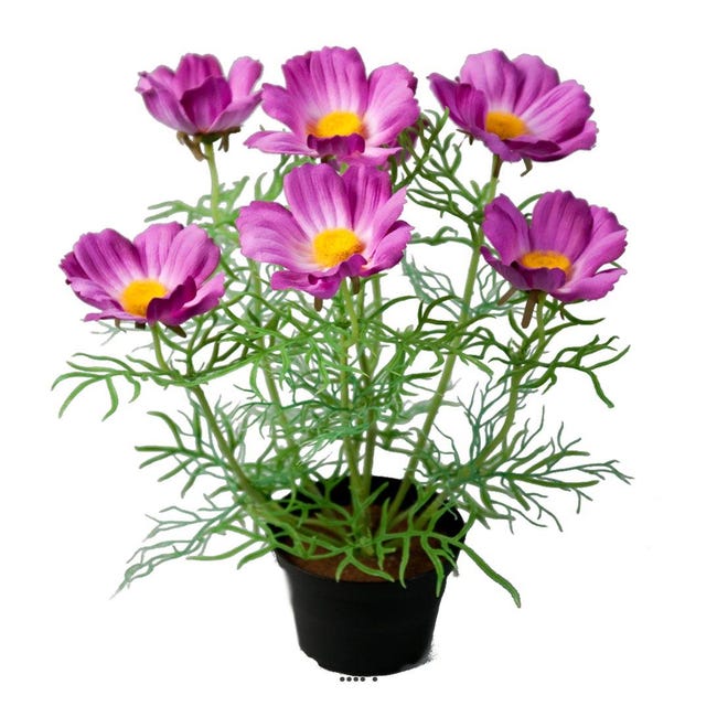 Cosmos fleuries artificielle en pot H 40 cm Pourpre-rose - couleur:  Pourpre-rose | Leroy Merlin