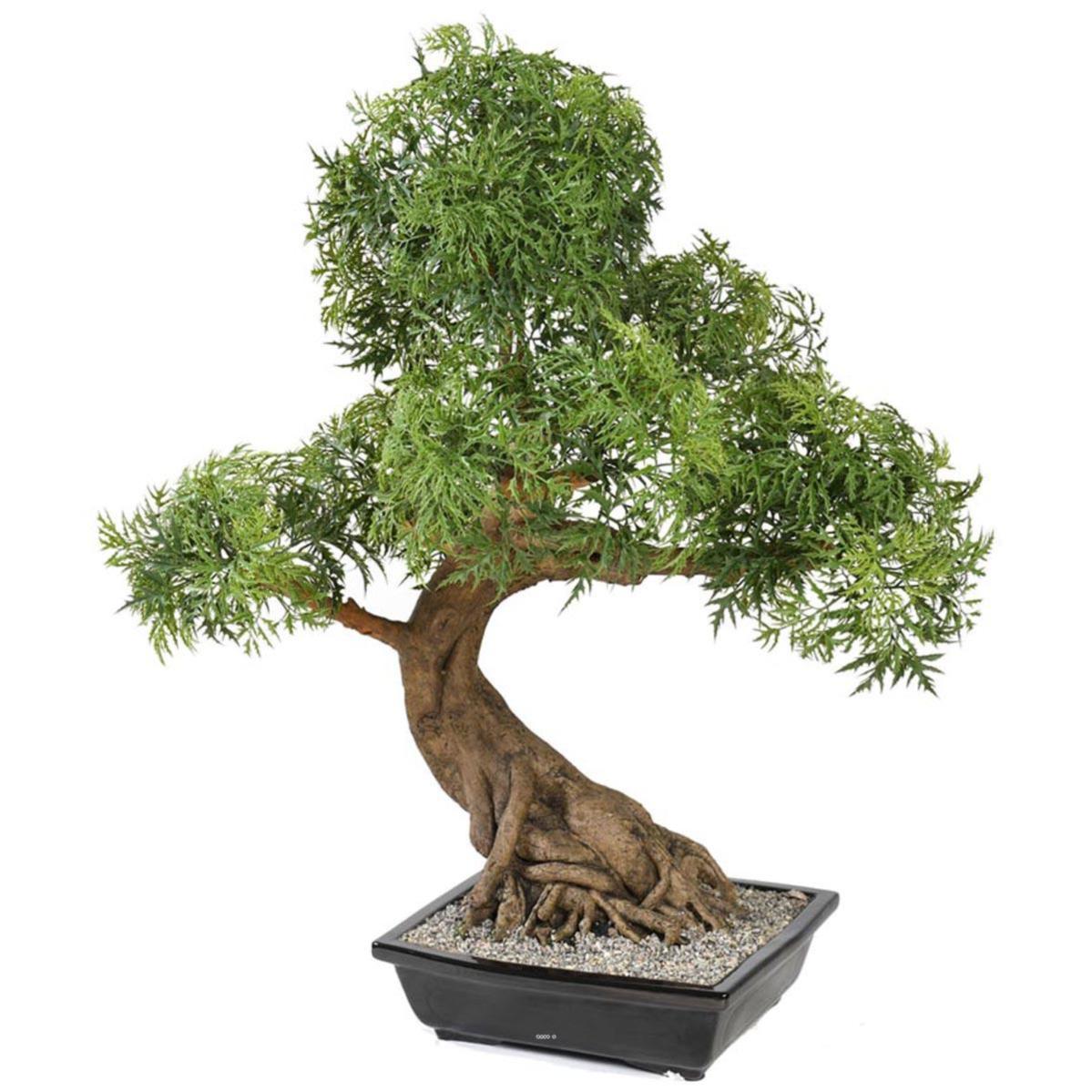 Bonsaï Aralia Artificiel H 95 cm D 60 cm en pot Leroy Merlin