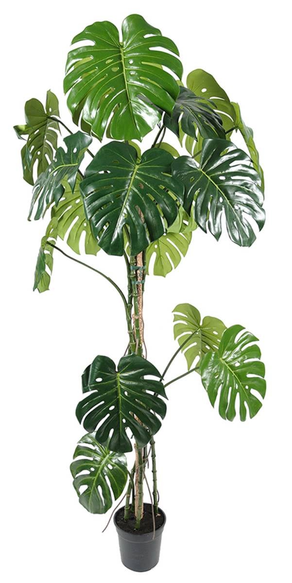 Plante artificielle Philondendron Monstera avec vase 23 feuilles 105 cm