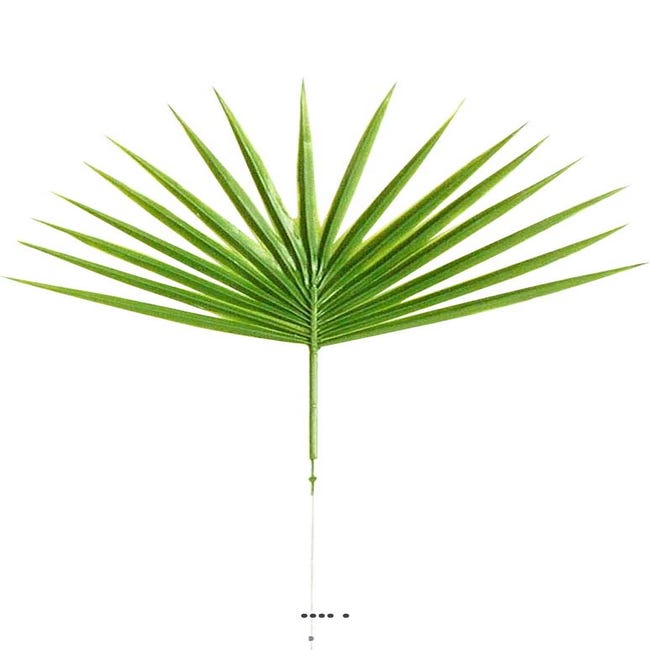 Feuille palmier Chamaerops artificielle H 40 cm D 26 cm plastique | Leroy  Merlin