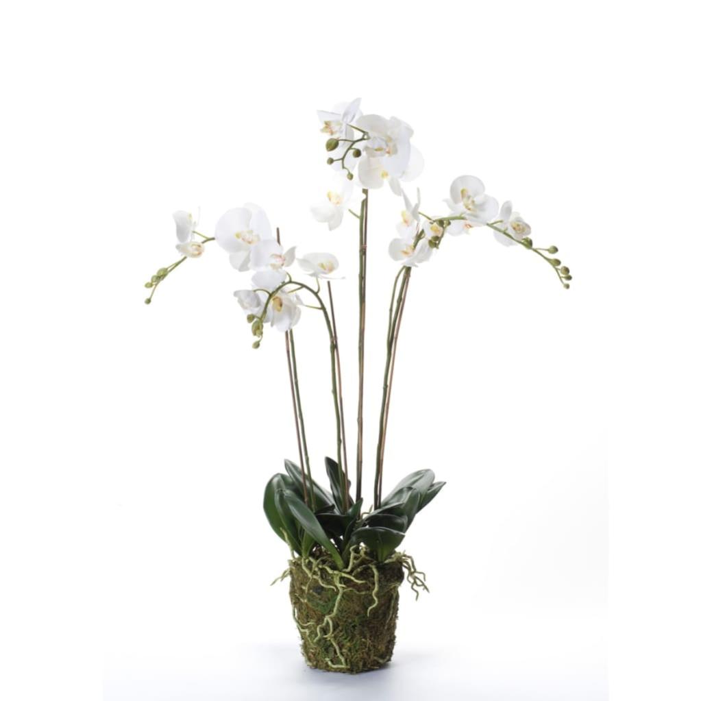Orchidea Artificiale Bianca In Vaso 41cm - Finta Orchidea Per Centrotavola, Matrimoni E Decorazione