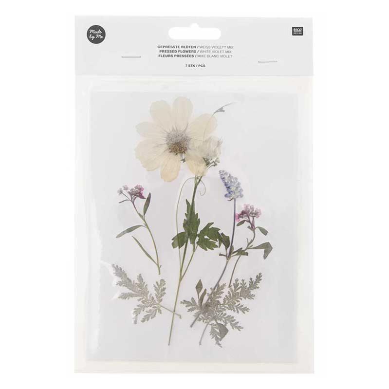 5 sacchetti di fiori pressati secchi, veri fiori pressati foglie secche fiori pressati in grandi quantità stili assortiti dettagli vibranti e ricchi fiori secchi colorati multiuso (Tipo 2