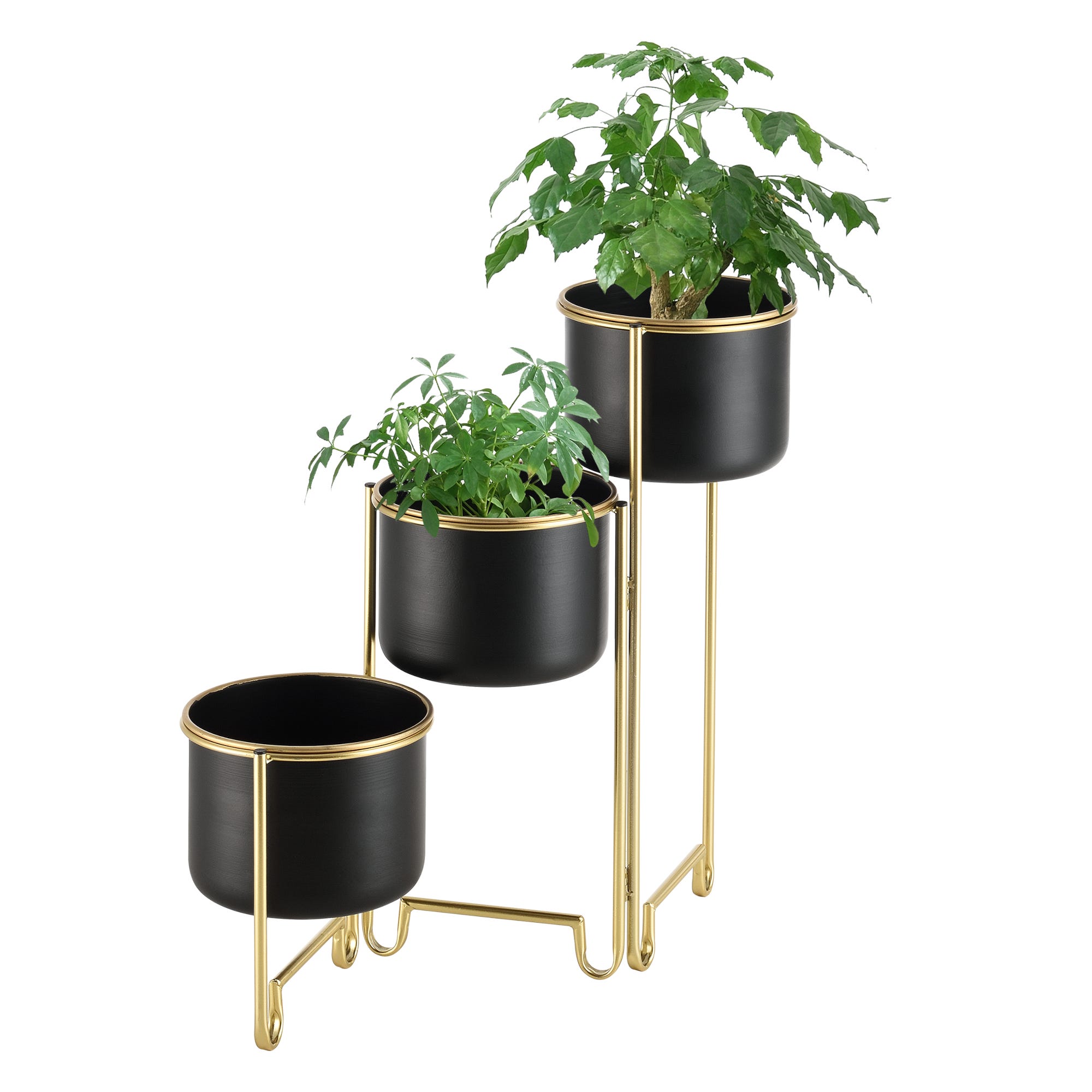 Support De Plante Design À 3 Cache-pots Porte-plante Pliable Pots De Fleur  Bacs À Fleurs Vases Métal De Tailles Différentes Laiton Noir [en.casa]