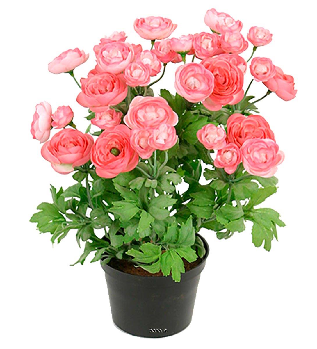 Renoncule factice en pot H28cm 32 fleurs lumineuses Rose soutenu - couleur:  Rose soutenu | Leroy Merlin