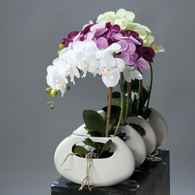 Orchidee artificielle crème 1 hampe pot Ceramique Blanc oval H 43 cm -  couleur: Crème | Leroy Merlin