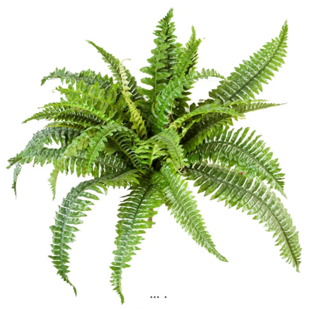 Fougere de Boston 26 feuilles D 50 cm artificielle en piquet Leroy Merlin