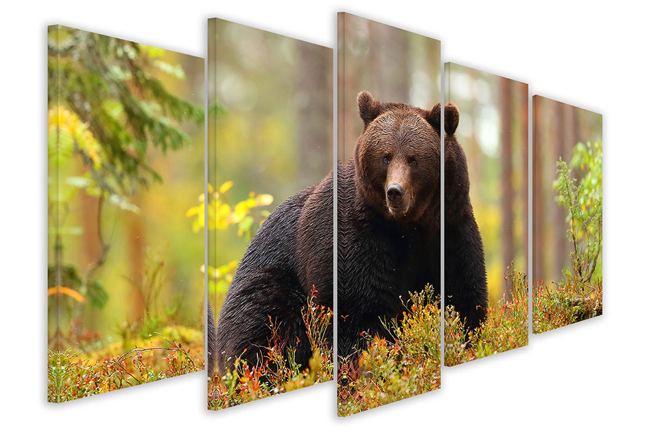 Tableau grizzly ours, cadres et tableaux