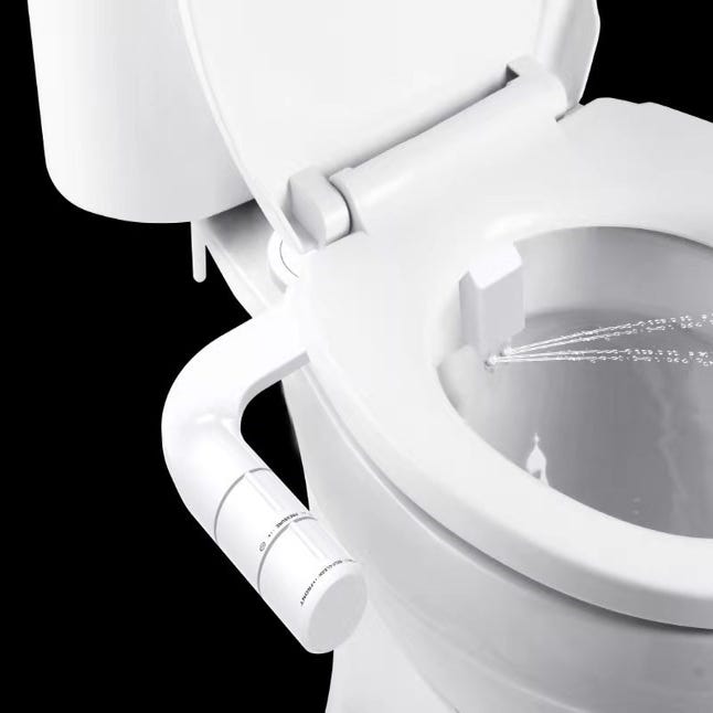 Acier inoxydable Ensemble de Pulvérisation pour Toilettes avec Fonction  d'Sortie Double - Kit Douchette WC - Tuyau Flexible de 2m inclus