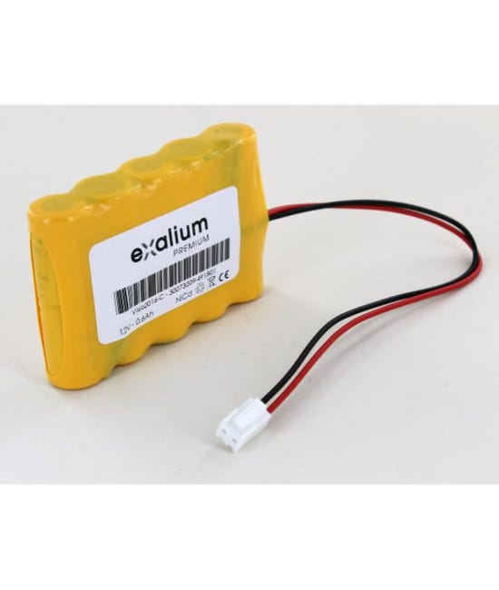 Batterie 12v 600mah Nicd Pour Porte Automatique Manusa Visio | Leroy Merlin 12v 600ah