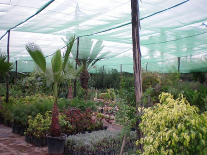 Voile d'ombrage - Filet de protection plantations et terrasse