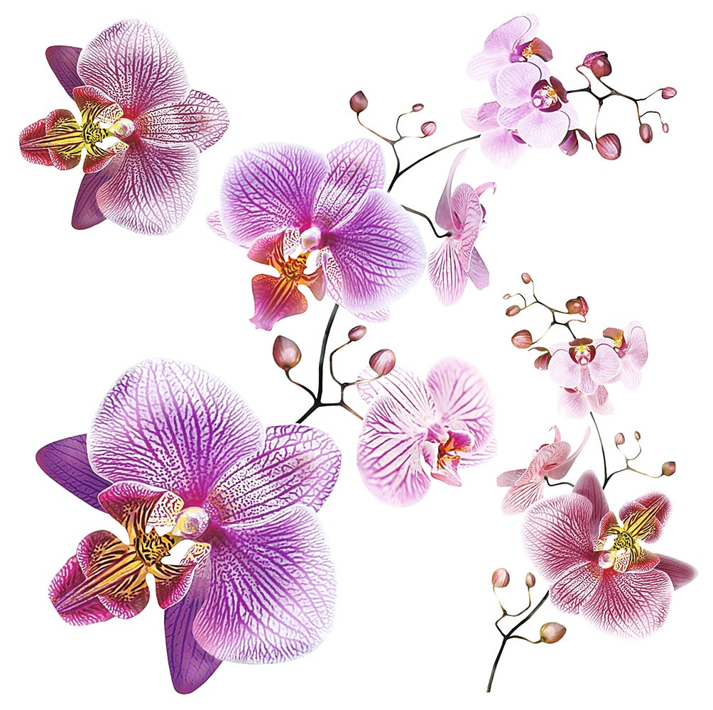 Sticker Décoratif fleurs rose et violet - 30 x 30 cm - Sanders & Sanders