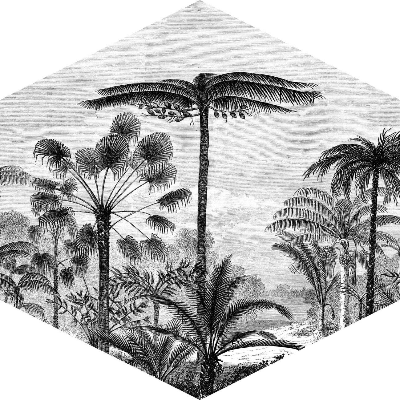 Sticker Décoratif paysage tropical avec des palmiers noir et blanc - 70 x  81 cm - ESTAhome