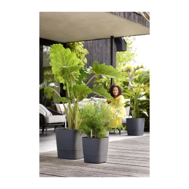 ELHO - Vaso da fiori - Greensense Aqua Care Square 38 - Grigio antracite -  Interno/esterno - Ø 38 x H 38,9 cm
