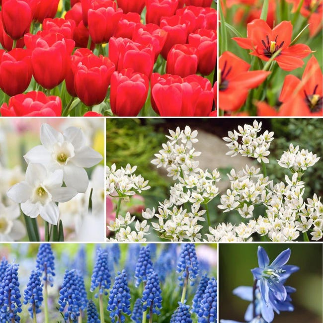 Reattore Lampada Moving Beam 2R 132W - Per Proiettori E Luci Stage - Foto 4