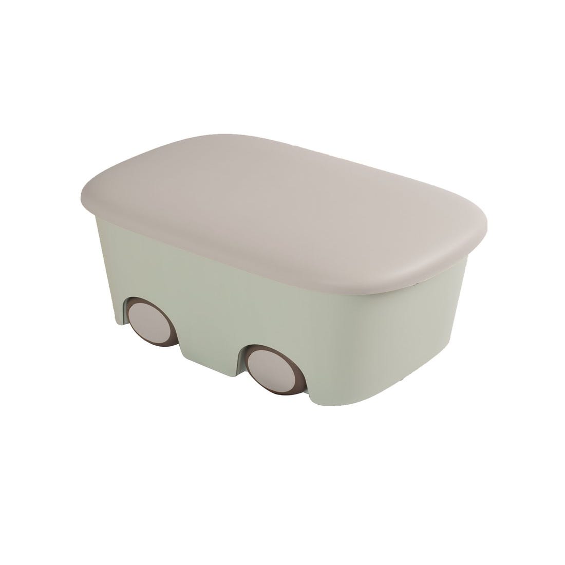 Cajas de Almacenaje Transparentes – Cajas Organizadoras de Plástico con  Tapa, Pack 6 uds (Verde Claro 45L)