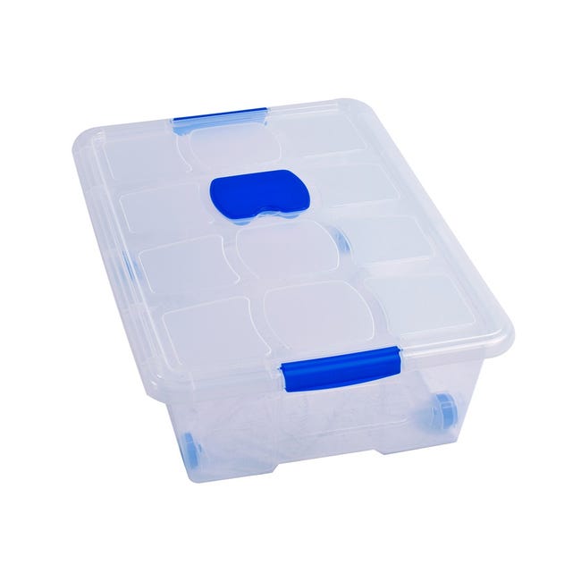 Cajas de Almacenaje Transparentes – Cajas Organizadoras de Plástico con  Tapa, Pack 4 uds (86L)