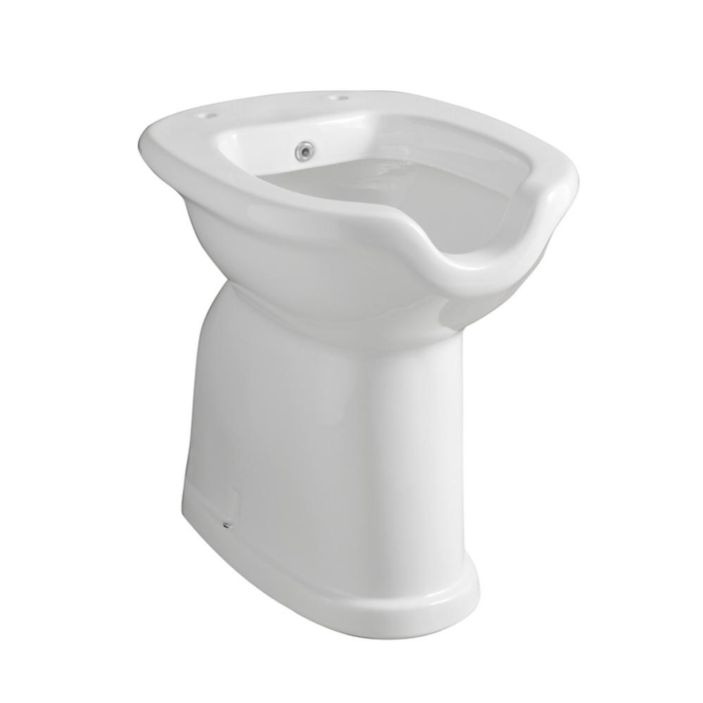 Vaso Bidet Combinato Per Anziani E Disabili H 49 Con Scarico Pavimento | Leroy Merlin - Foto 2