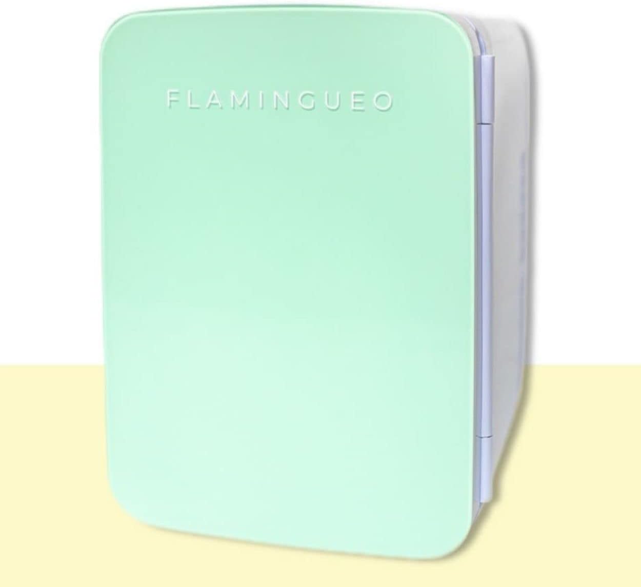 Flamingueo Mini Frigo 10L Frigorifero Piccolo 12V/220V Mini Frigo Camera  Raffreddamento e Riscaldamento Frigo Vintage