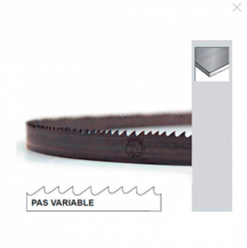 Lame De Scie à Ruban Métal PAE 2950 X 27 X 0,9 Mm X 8/12