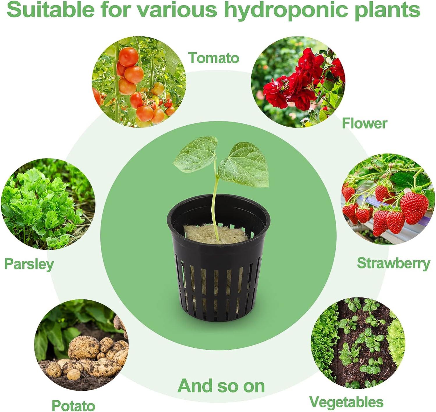Kit Idroponico Completo Con 24 Pezzi: Blocchi E Cesti Per Coltivare Di Tutto - Per Aerogarden E Coltura Senza Suolo