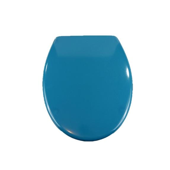 Abattant wc bleu canard best sale