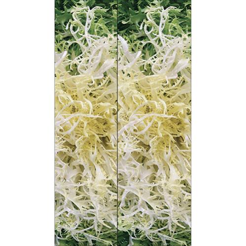 Calamita per lavastoviglie personalizzata con fiori esotici tropicali adesivi da cucina riutilizzabili copertura magnetica decalcomania 58 cm di larghezza x 66 cm di altezza
