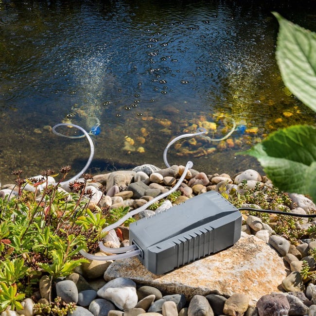 Linxor - Pompe à eau solaire pour fontaine, bassin ou jardin avec câble  de 5m : : Jardin