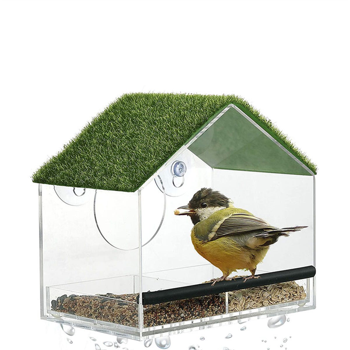 Mangeoire à oiseaux avec ventouse en plastique Jardin Fenêtre pour  suspendre Distributeur automatique Extérieur - Cdiscount