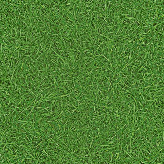 Sol Vinyle Nature imitation Gazon Rouleau de 2m x 17m Leroy Merlin