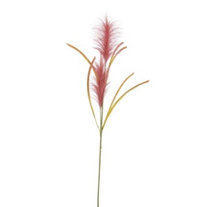 Pampas Ramo di Piume Decorativo Altezza 110 Cm pampas