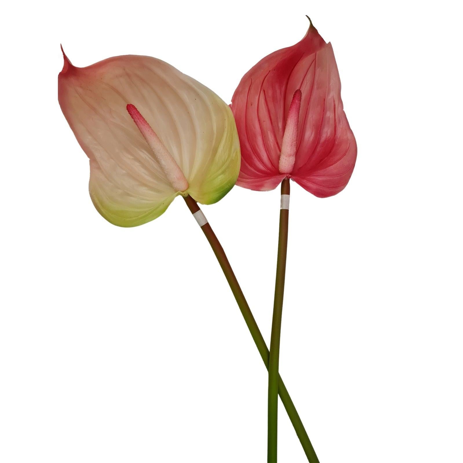 Rami Artificiali Decorativi Per Natale, 3 Pezzi Da 51 Cm - Foglie Magnolia Con Dettagli Champagne E Argento