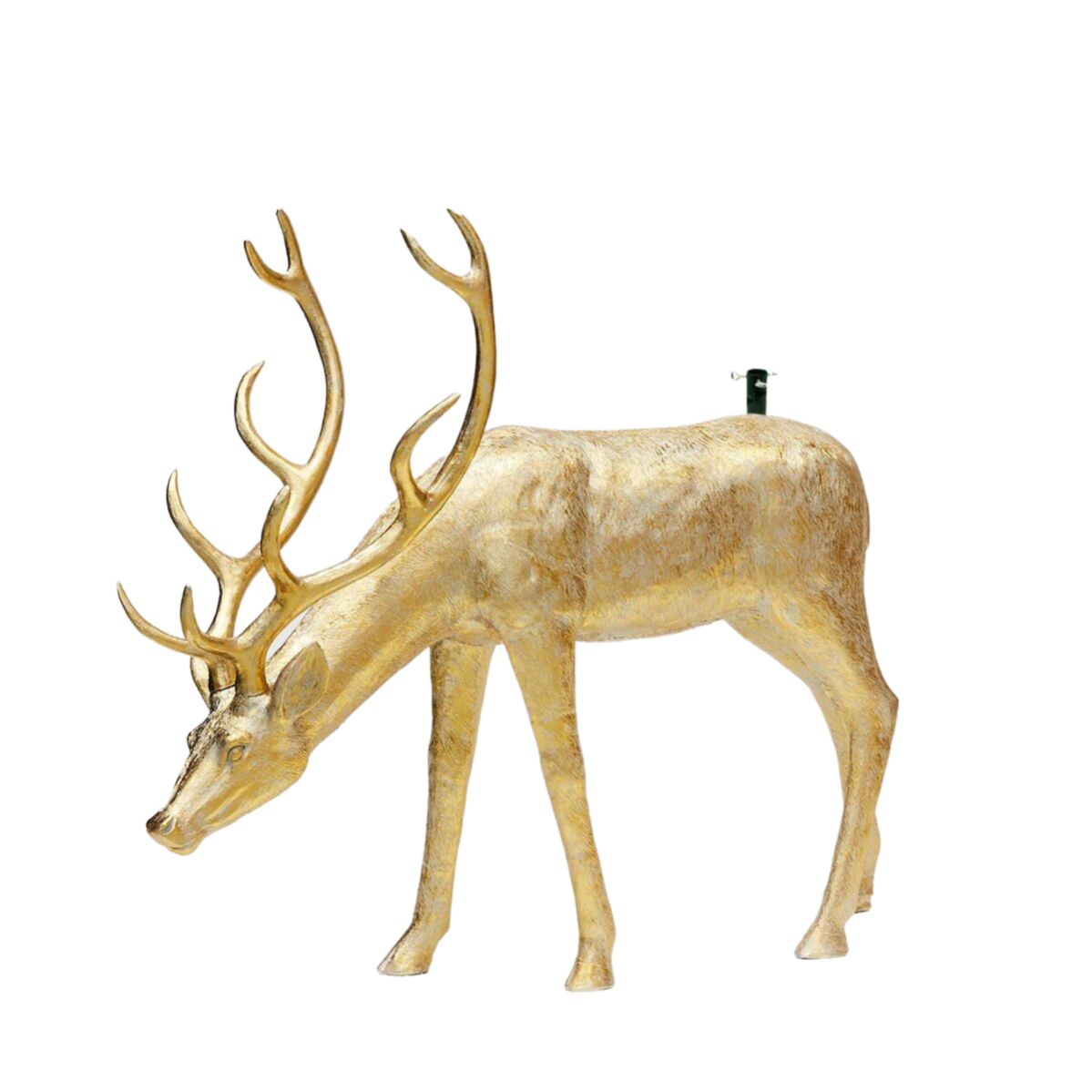 Come pulire la sales renna