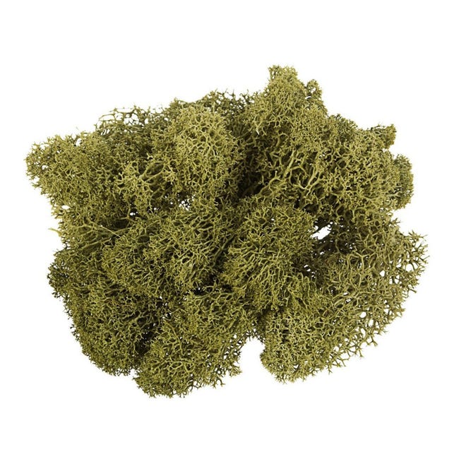 Muschio lichene atossico e privo di acidi per decorazioni e presepi da 500 g  / Naturale