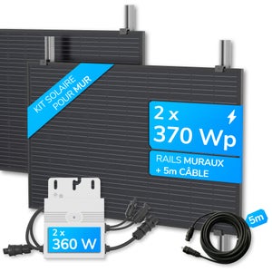 Deye - 800W Micro Onduleur Monophasés SUN800G3-EU-230 pour 2 Panneaux  Solaires, WLAN - Microinverter avec APP Surveillance (800 Watt)