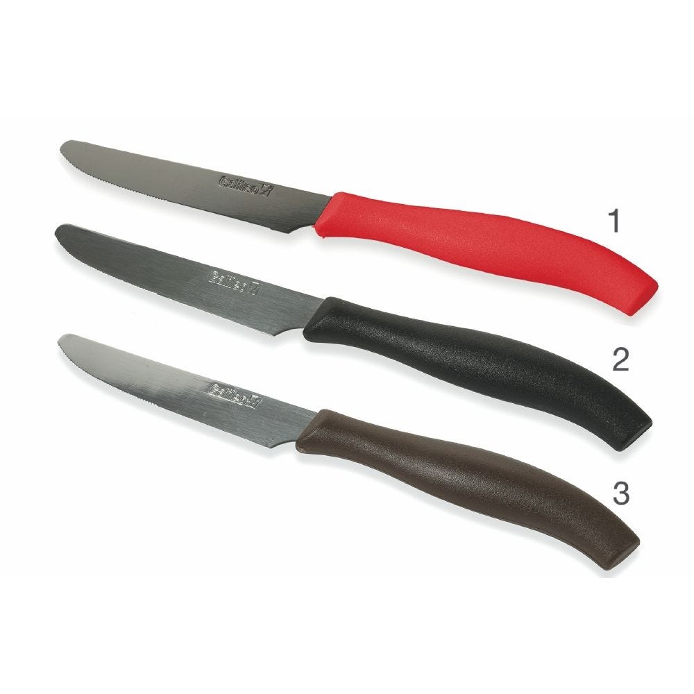 Set 6 coltelli da tavola lama seghettata in acciaio inox S&#